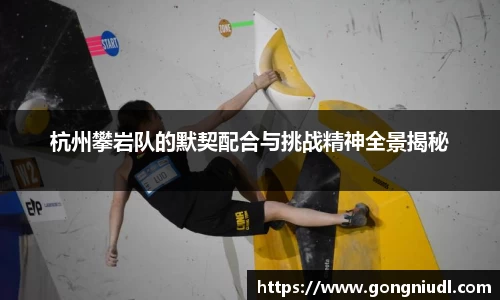 杭州攀岩队的默契配合与挑战精神全景揭秘